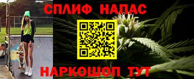 дживик Бийск