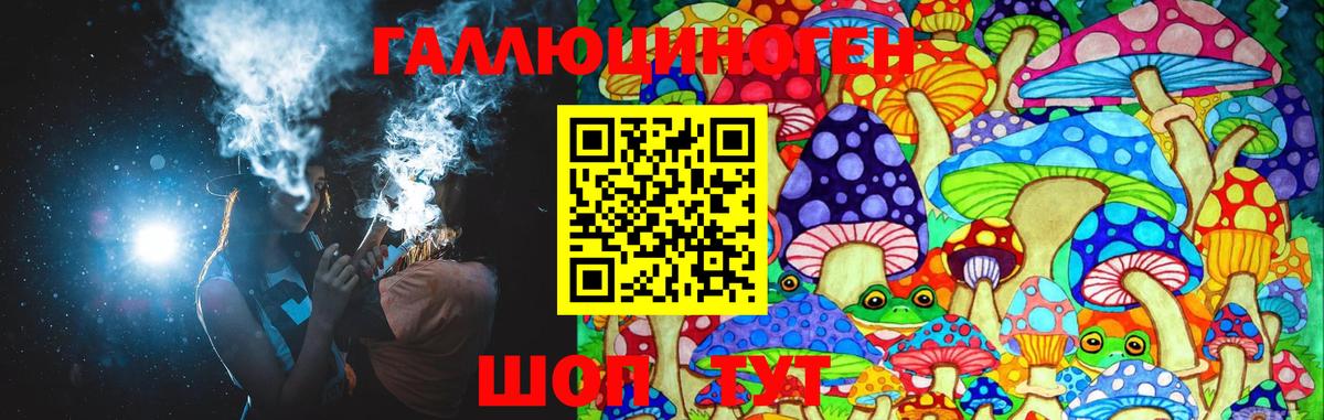 Псилоцибиновые грибы Psilocybe Зеленодольск